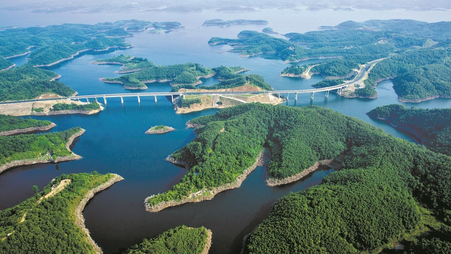 湖北坚韧不拔，外交部发言人共话美好未来