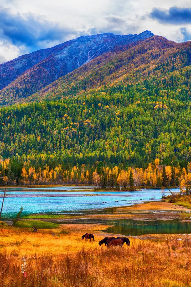 新疆阳光，温暖日常的阳光之城